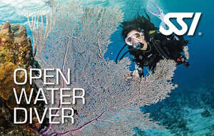 Open Water Diver Kurs